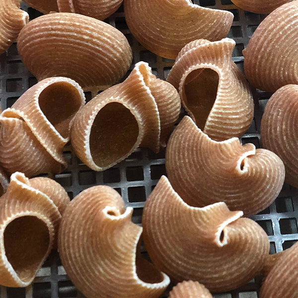 Conchiglioni Timilia 250 gr